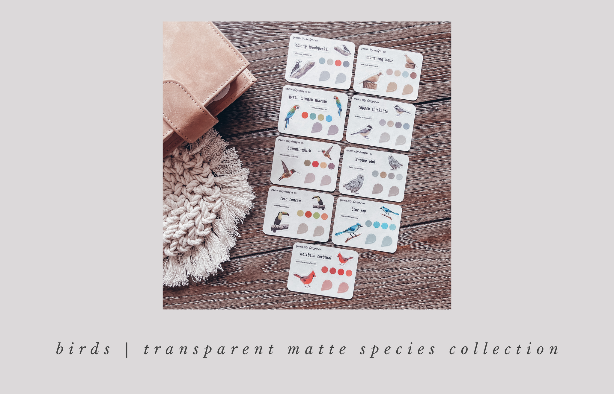 Birds | Species Collection | Choose from 9 Different Sheets ~ Minimal Icons [Transparent Matte]