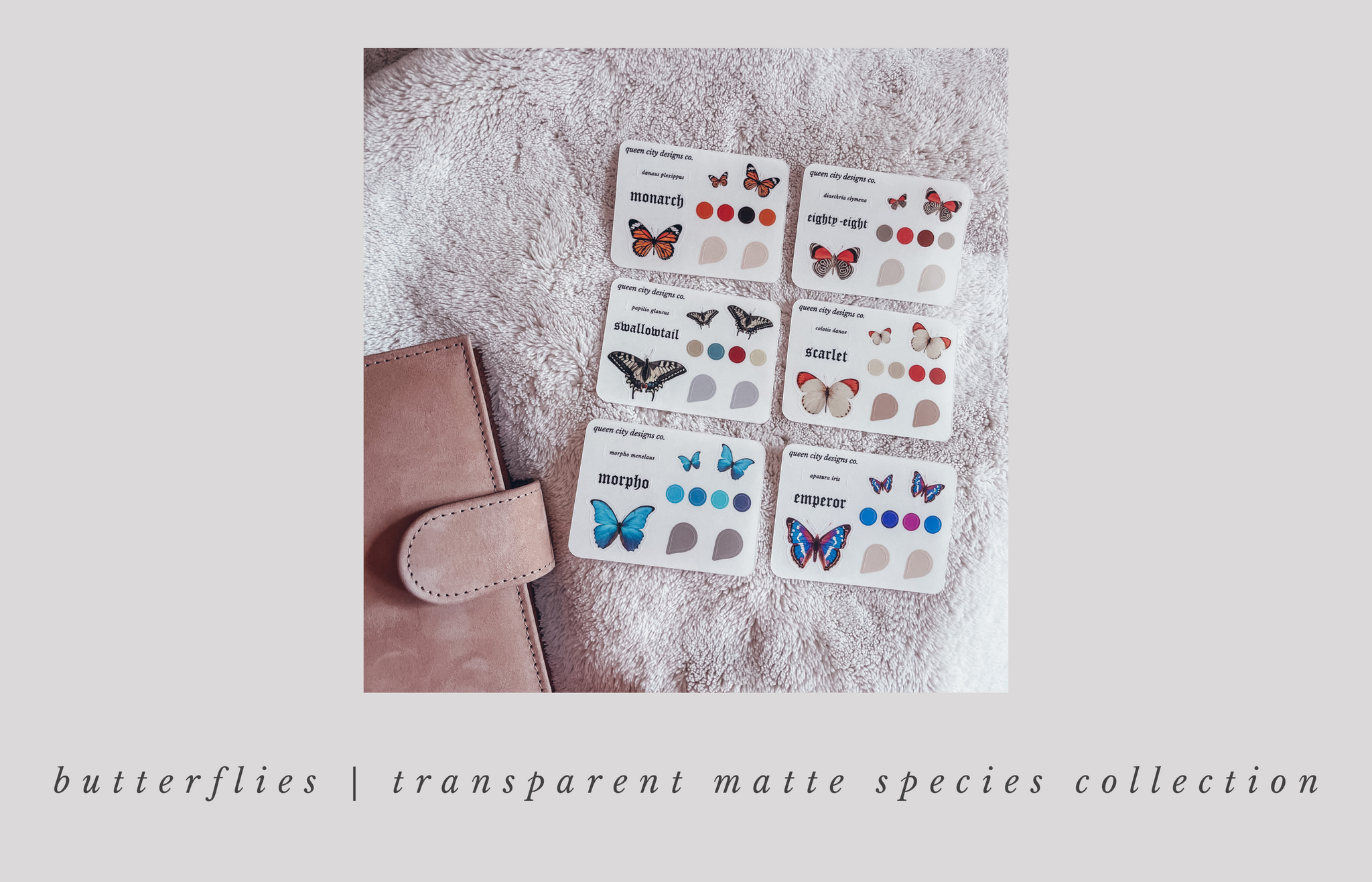 Butterflies | Species Collection | Choose from 6 Different Sheets ~ Minimal Icons [Transparent Matte]