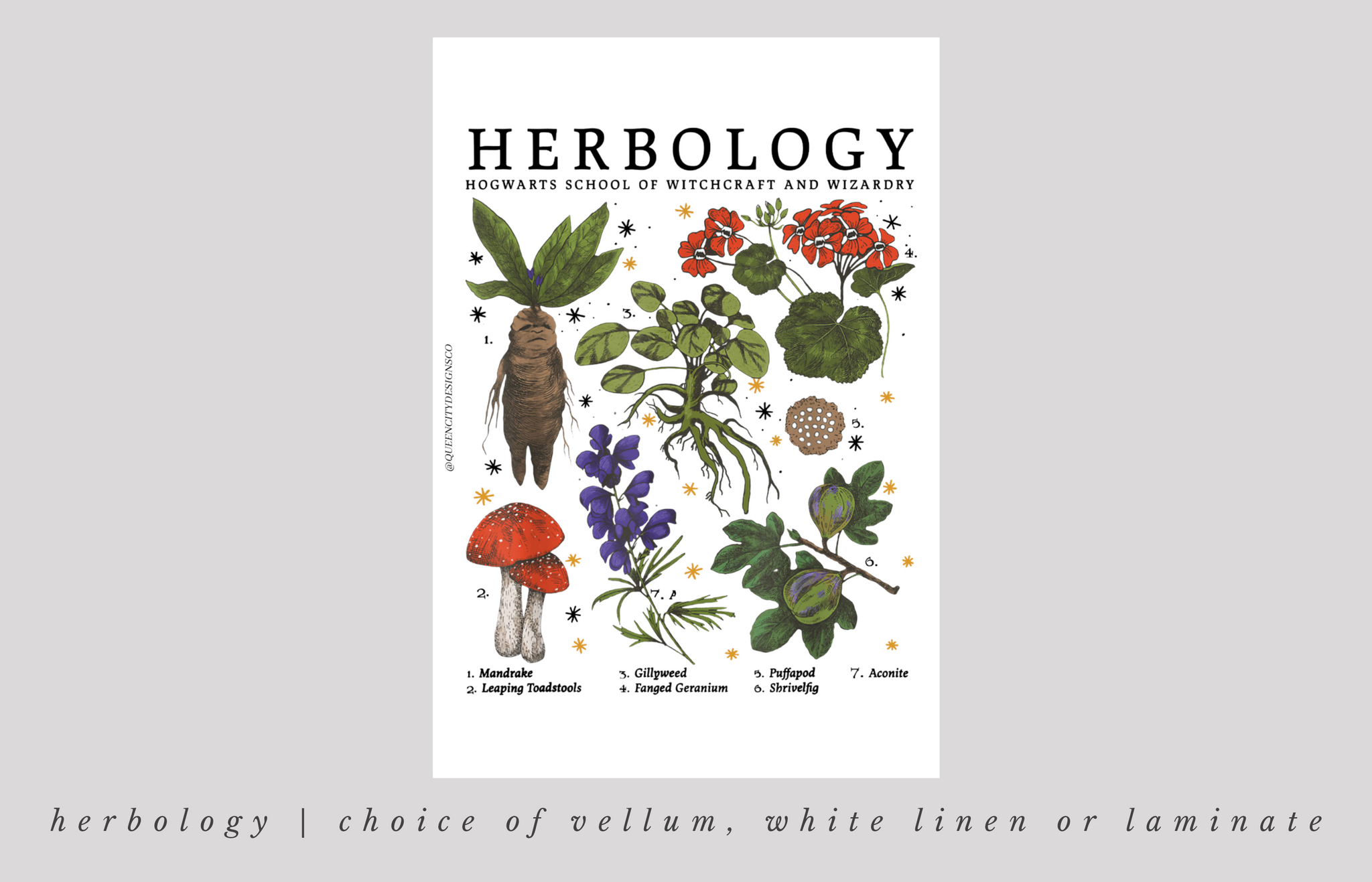 Herbology Dashboard ~ Choice of Vellum, White Linen or White Laminate -- JA22
