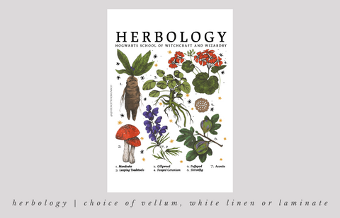 Herbology Dashboard ~ Choice of Vellum, White Linen or White Laminate -- JA22
