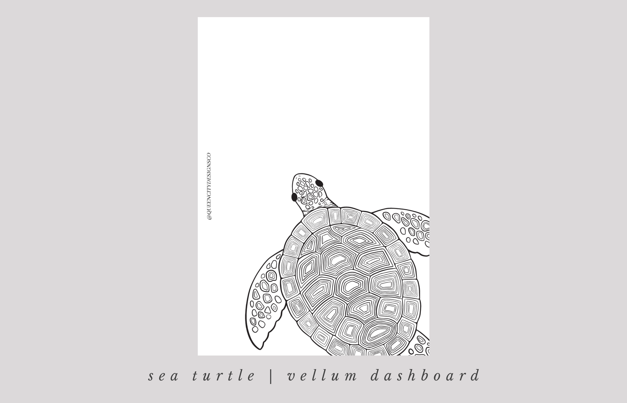 Sea Turtle VELLUM Dashboard -- JA23